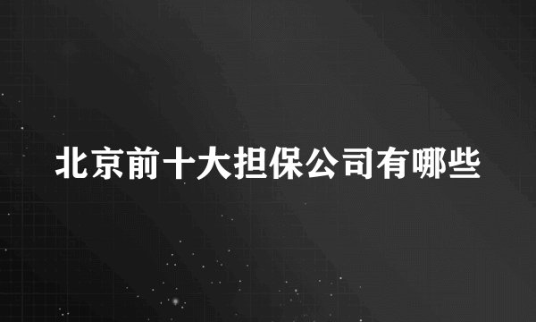 北京前十大担保公司有哪些