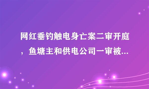 网红垂钓触电身亡案二审开庭，鱼塘主和供电公司一审被判赔68万，死者亲属称“自己甩杆高压线”是误导