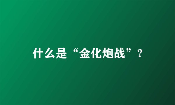 什么是“金化炮战”?