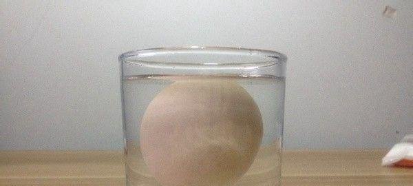 死海不死的秘密