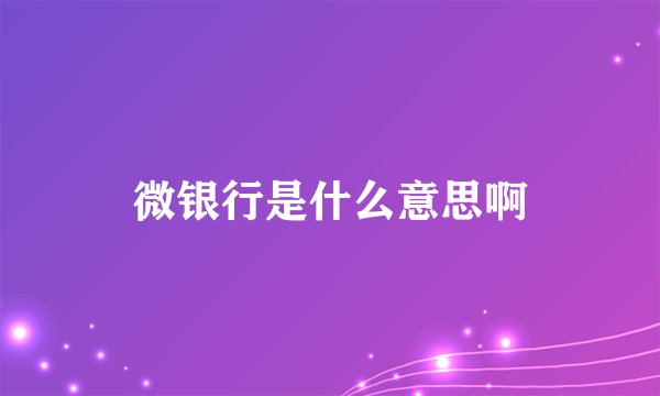 微银行是什么意思啊