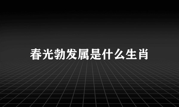春光勃发属是什么生肖