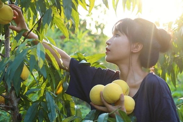 李子柒谈原生家庭的影响，忍不住掉眼泪，她到底经历了什么？