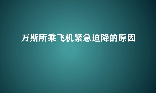 万斯所乘飞机紧急迫降的原因