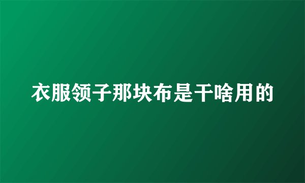 衣服领子那块布是干啥用的