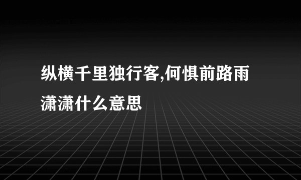 纵横千里独行客,何惧前路雨潇潇什么意思