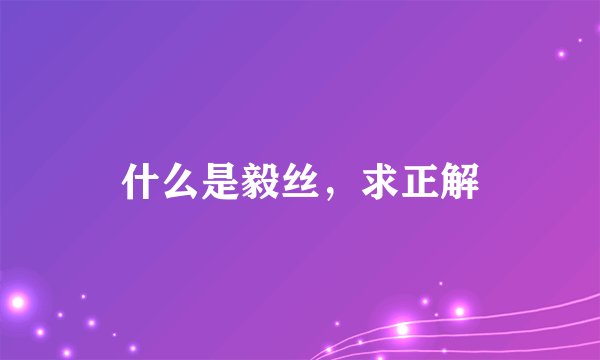 什么是毅丝，求正解