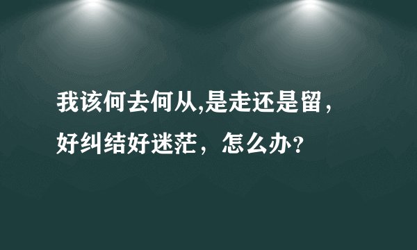 我该何去何从,是走还是留，好纠结好迷茫，怎么办？