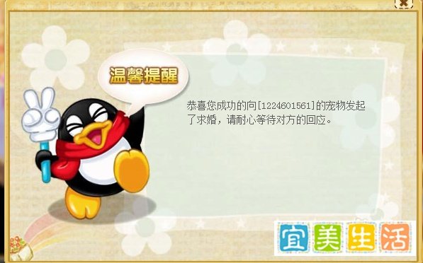 QQ宠物如何求婚，如何结婚，结婚需要什么
