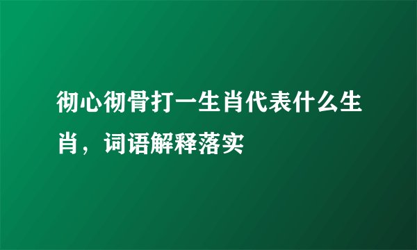 彻心彻骨打一生肖代表什么生肖，词语解释落实