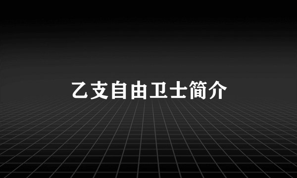 乙支自由卫士简介