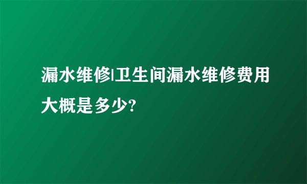 漏水维修|卫生间漏水维修费用大概是多少?