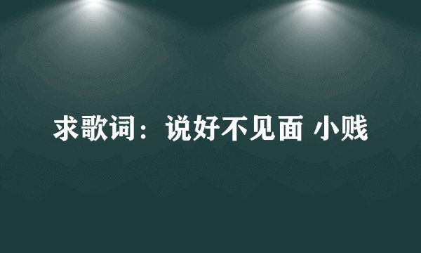 求歌词：说好不见面 小贱