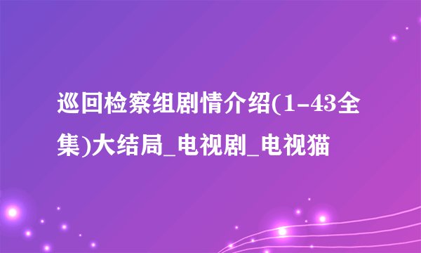 巡回检察组剧情介绍(1-43全集)大结局_电视剧_电视猫