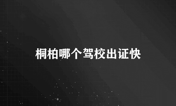 桐柏哪个驾校出证快