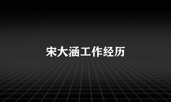 宋大涵工作经历
