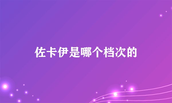 佐卡伊是哪个档次的