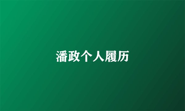潘政个人履历