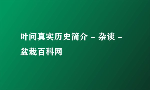 叶问真实历史简介 - 杂谈 - 盆栽百科网