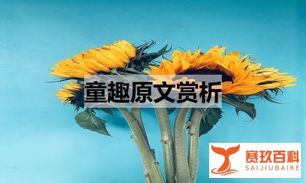 童趣原文赏析（童趣原文、翻译及赏析）