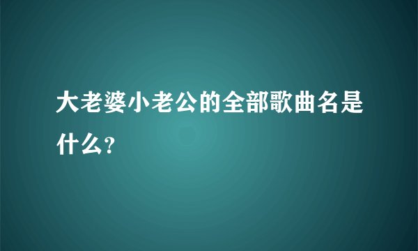 大老婆小老公的全部歌曲名是什么?