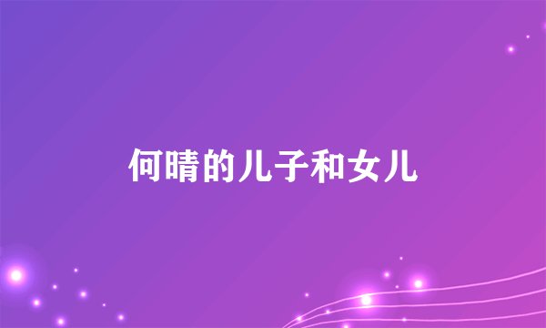 何晴的儿子和女儿