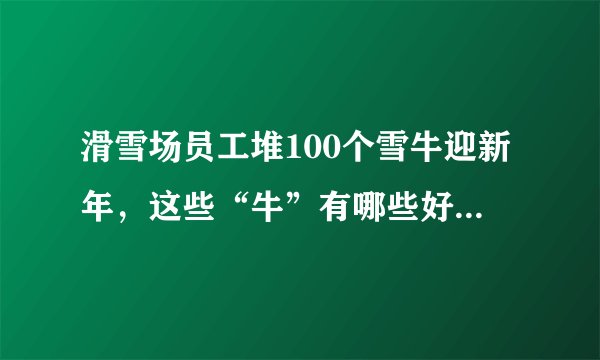 滑雪场员工堆100个雪牛迎新年，这些“牛”有哪些好的寓意？