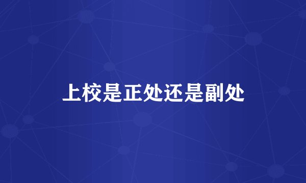 上校是正处还是副处