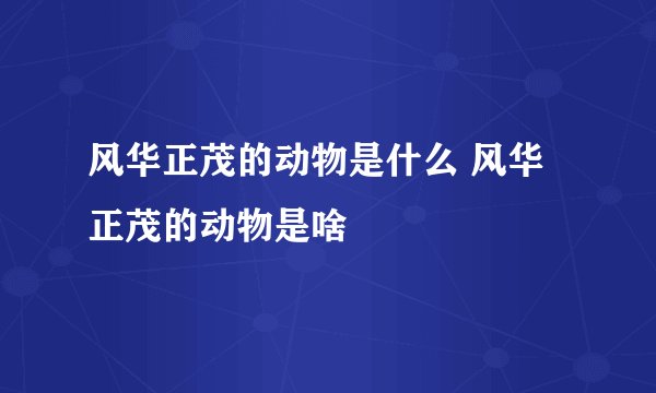 风华正茂的动物是什么 风华正茂的动物是啥