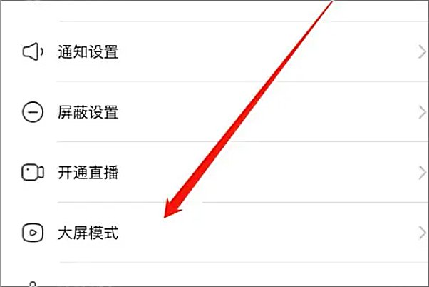 快手找不到大屏模式
