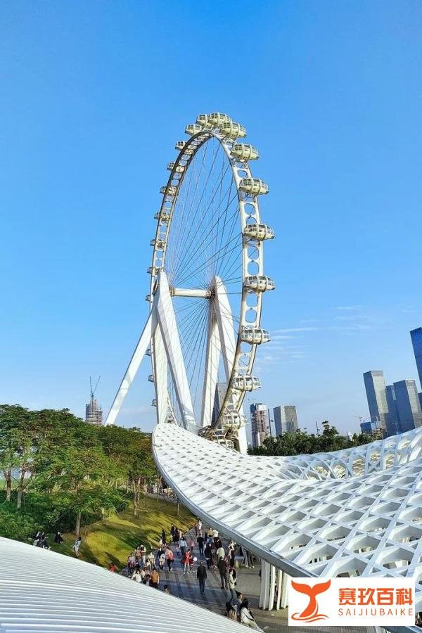 深圳车险可以出单交强险吗？