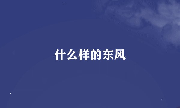 什么样的东风
