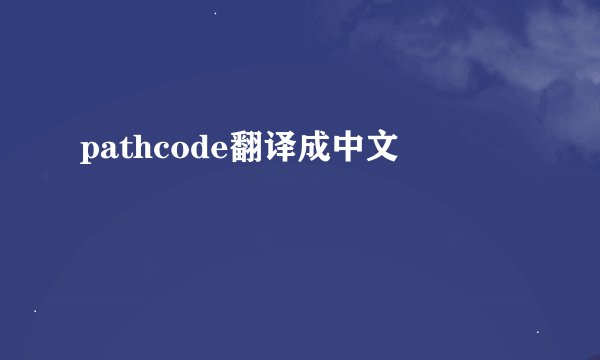 pathcode翻译成中文