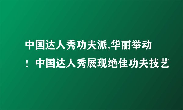 中国达人秀功夫派,华丽举动！中国达人秀展现绝佳功夫技艺