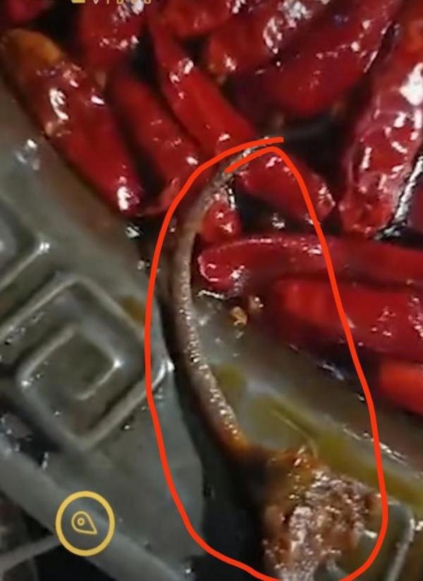 重庆，一网友自爆吃火锅吃出老鼠尾巴，老板：一直在排查也已报警