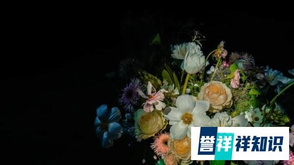 有一种花艺叫中赫时尚!时尚、商业、艺术全包括