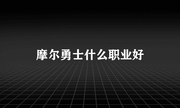 摩尔勇士什么职业好