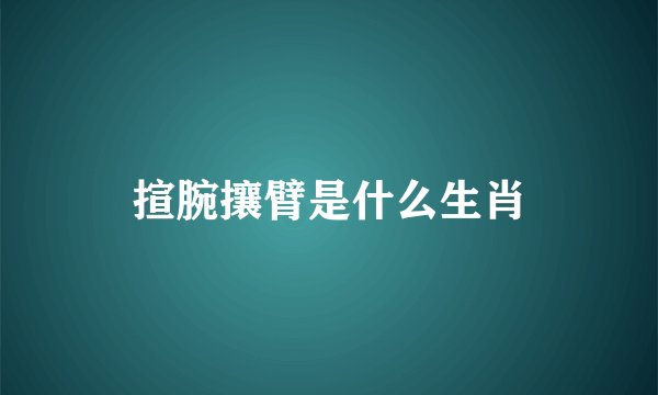 揎腕攘臂是什么生肖