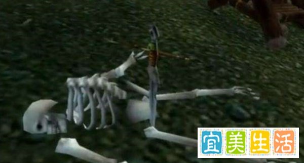 魔兽世界暗夜精灵“不着痕迹”任务怎么做?