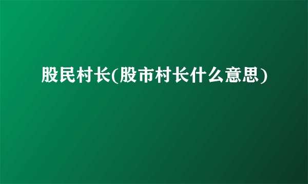 股民村长(股市村长什么意思)