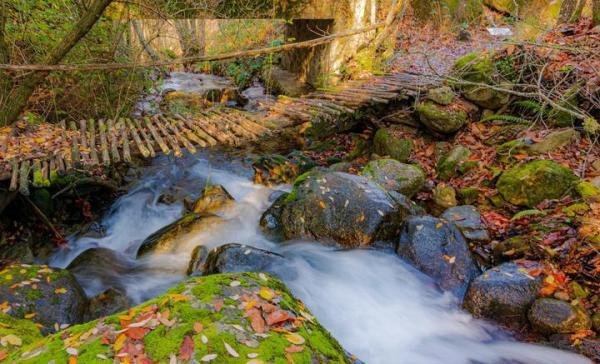 零售市场大洗牌！传统商超巨头在短短一年内竟亏损了高达49亿。全线溃败，胖东来能否拯救？