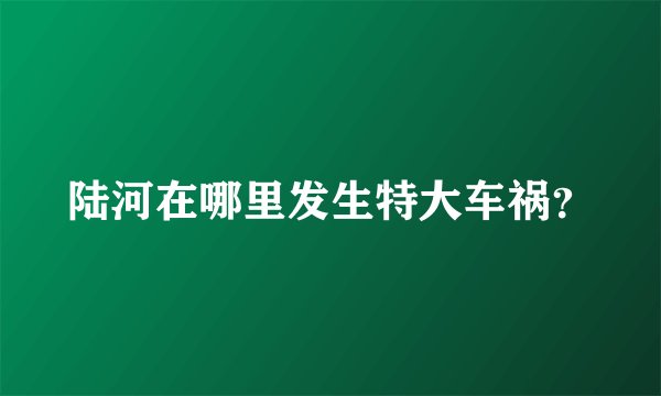 陆河在哪里发生特大车祸？
