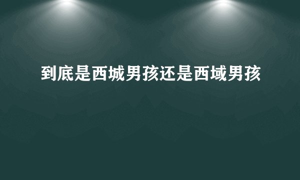 到底是西城男孩还是西域男孩