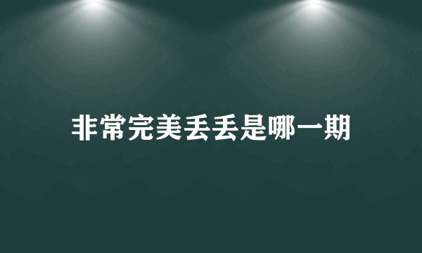 非常完美丢丢是哪一期