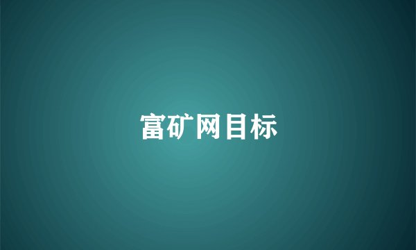 富矿网目标