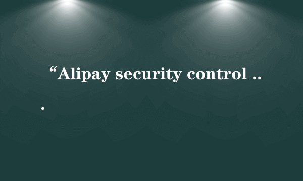“Alipay security control 2,4,0,1”是什么程序啊？