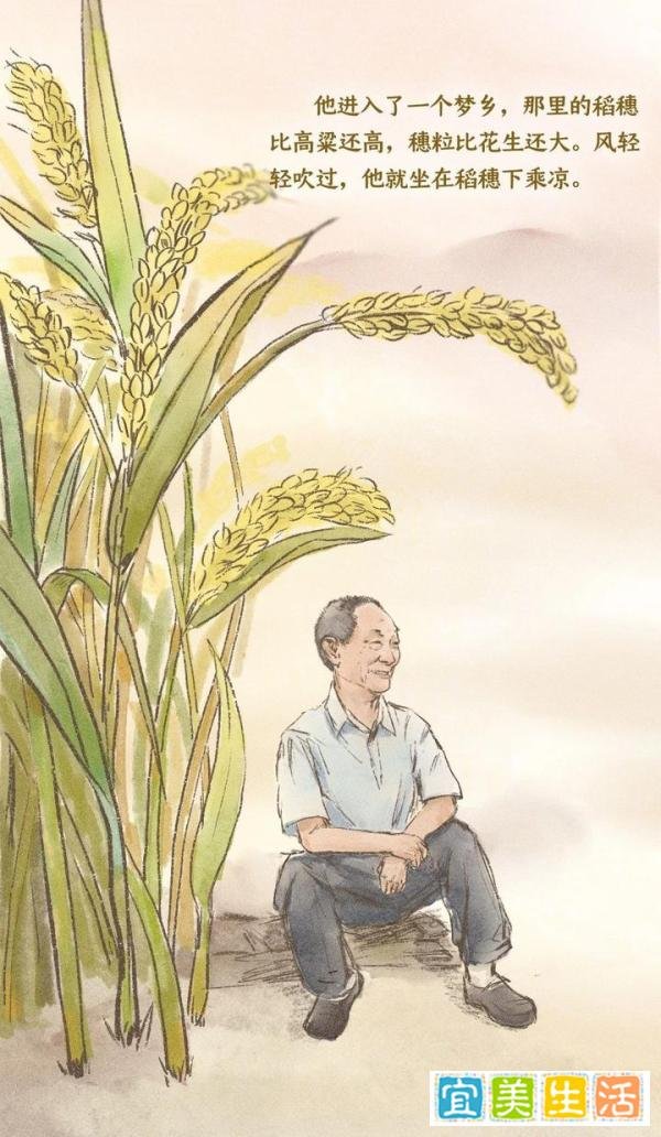 袁隆平先生的家世与文采