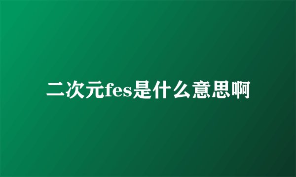 二次元fes是什么意思啊