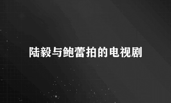 陆毅与鲍蕾拍的电视剧
