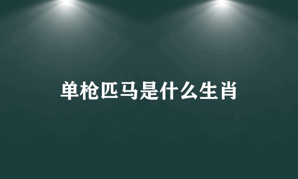 单枪匹马是什么生肖
